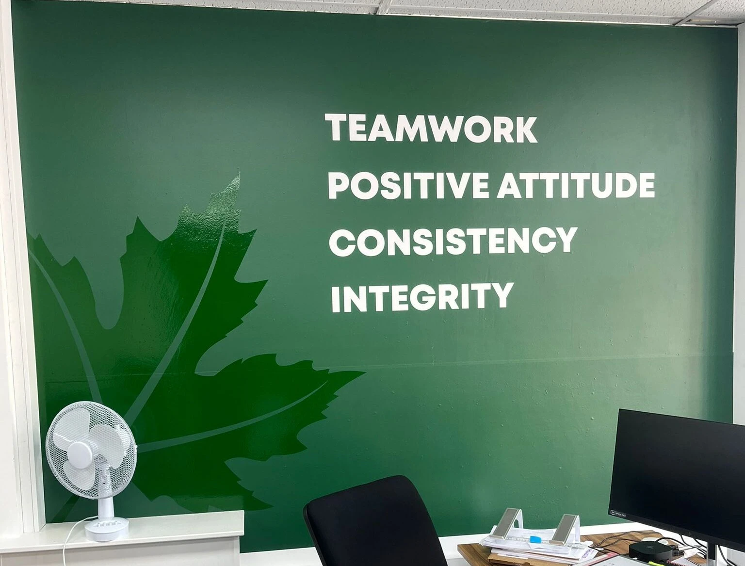 Mural, Custom wallpaper, bespoke graphics, graphic design, large format, wall art, wall print