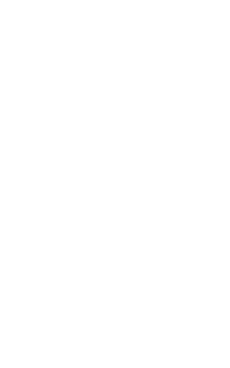 dots-white (3)