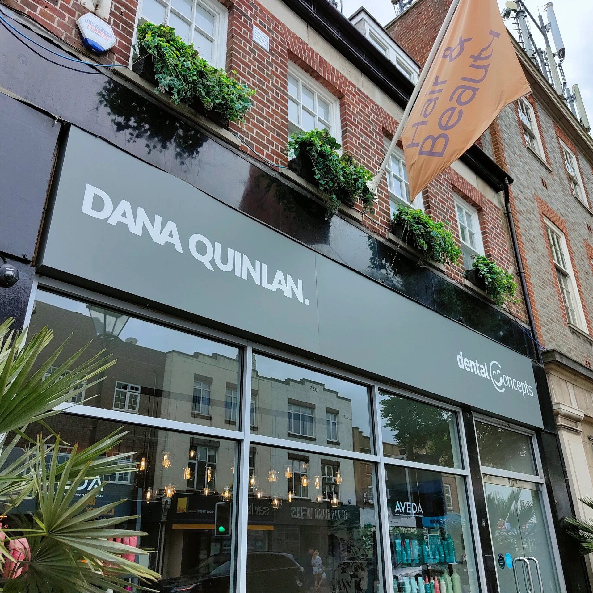 Dana Quinlan